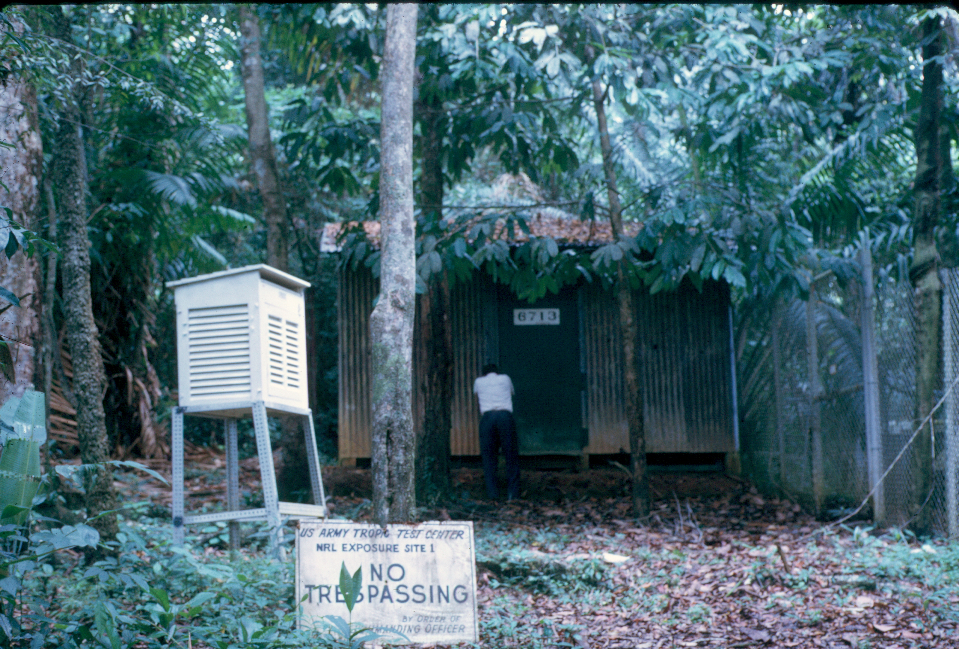 The Jungles of Panama